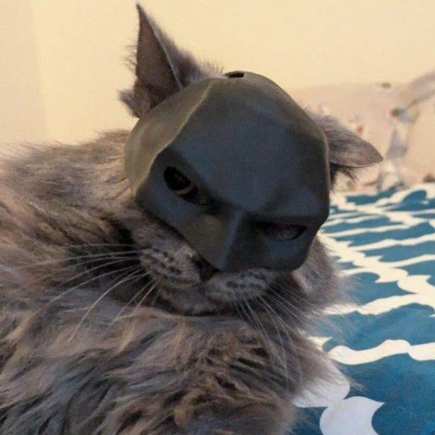 Batman's Profile Picture In GameUP