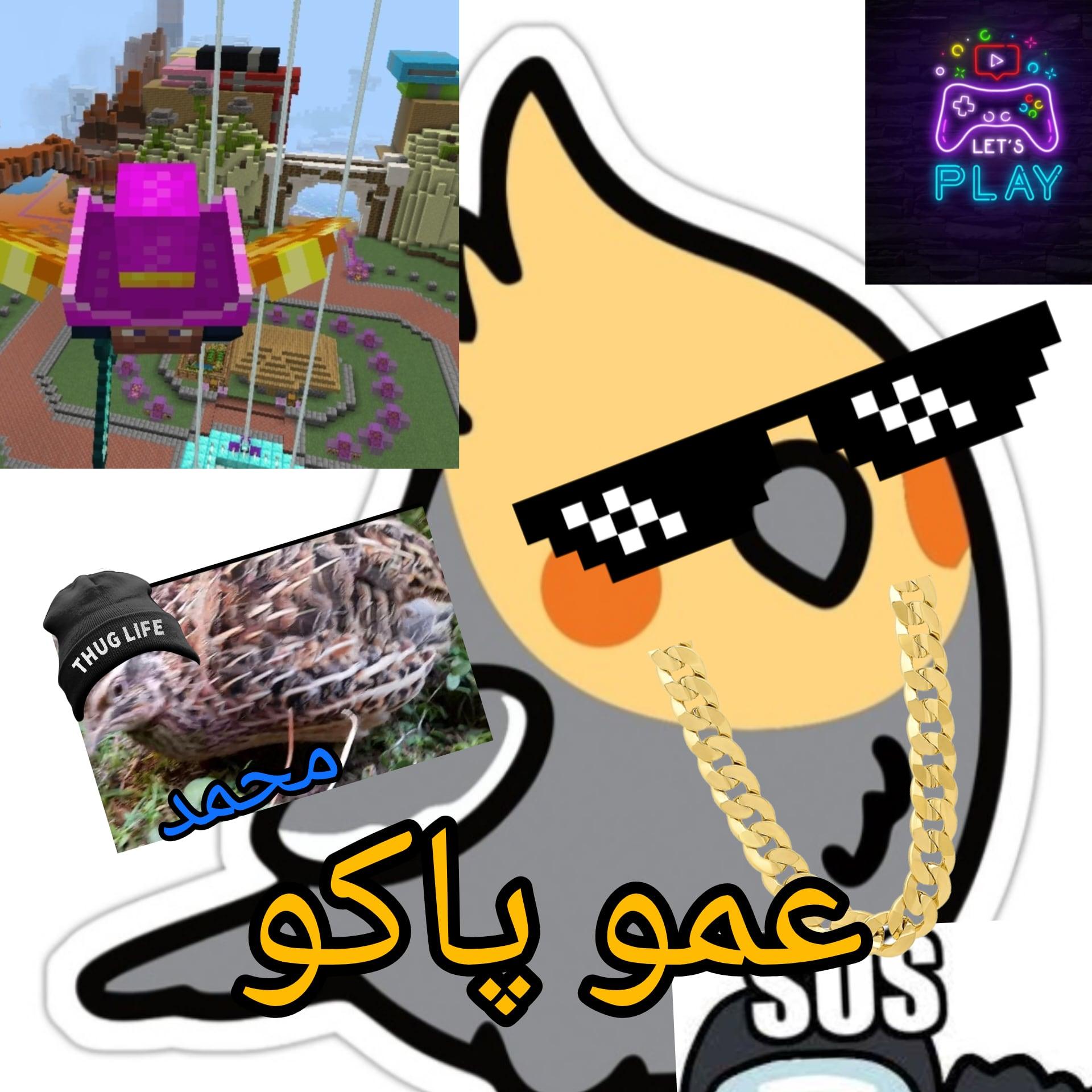 amopaco's Profile Picture In GameUP