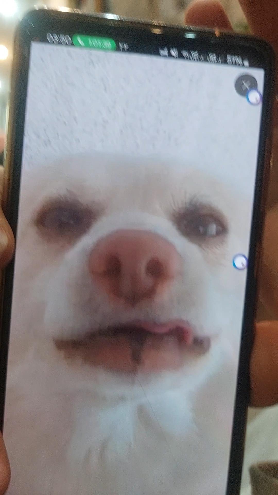 nimajoyner's Profile Picture In GameUP