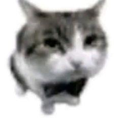MOTII's Profile Picture In GameUP